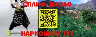 шишки Жуковский