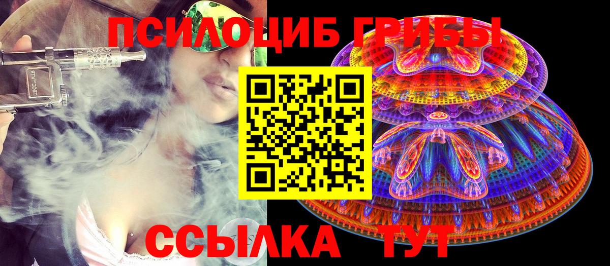 Лесозаводск  Галлюциногенные грибы Psilocybine cubensis  Вход с VPN 