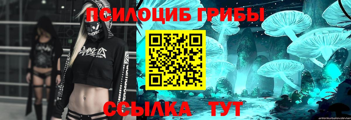 Галлюциногенные грибы мицелий Лесозаводск